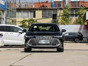 Nuova Auto Elettrica Ibrida Asian <span class=keywords><strong>Dragon</strong></span> 2026 in Vendita, Edizione Premium 2.0L con Batteria al Litio e Motore da 83KW - Product Image 2