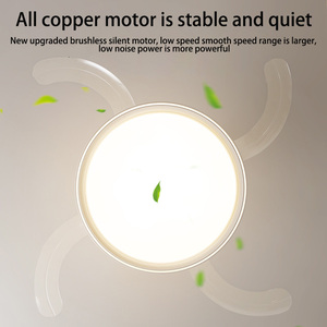 42 Inch Tốt Nhất Phòng Ngủ Bt Ưa Thích Hiện Đại Lớn Giá Rẻ DC Quạt Trần Với Đèn Ánh Sáng Đèn Chùm Và Từ Xa Lá - Product Image 6