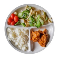 Assiette pour bébé en mélamine à trois compartiments de 9 pouces, durable, écologique, design personnalisable