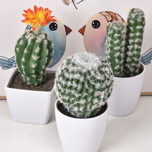 Planta suculenta <span class=keywords><strong>de</strong></span> plástico <span class=keywords><strong>de</strong></span> alta calidad, suculenta en maceta <span class=keywords><strong>de</strong></span> PVC suave, simulación <span class=keywords><strong>de</strong></span> <span class=keywords><strong>Cactus</strong></span> <span class=keywords><strong>de</strong></span> tacto Real - Product Image 4