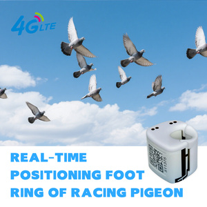 Vogels Positionering Ketenen <span class=keywords><strong>Gps</strong></span> Tracker Race Duiven Ip67 Waterdicht 4G Lbs Kleine Volume Nauwkeurige Positionering Tracker Racen - Product Image 2