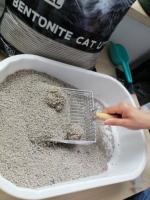 BENJIE 5L/10L/25L 99% Bebas Debu Kontrol Bau Ekstra Biodegradable & Ramah Lingkungan Pasir Kucing Bentonit