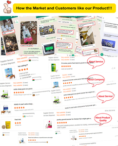 Renforceur d'<span class=keywords><strong>alimentation</strong></span> pour la croissance et la santé des bovins bétail Supplément nutritionnel Soutien digestif Vitamine boost Supplément probiotique - Product Image 6
