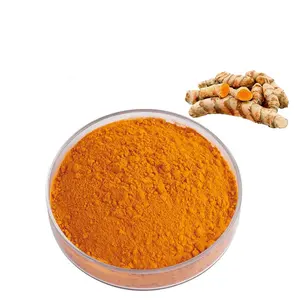 Factory Wholesale Natural Spices Ground Turmeric Root Powder Turmeric Powder