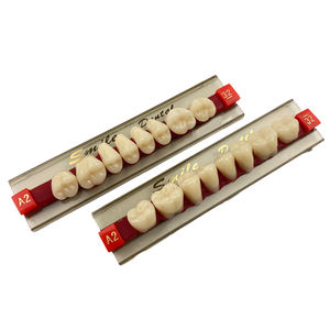 Synthetic Posterior Tooth Acrylic Resin Back Teeth Dental <b>Denture</b> 8pcs/set - Product Image 5