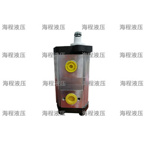 Pompe hydraulique double 6214827M91 3329920021 Pompe à engrenages double tandem - Product Image 5