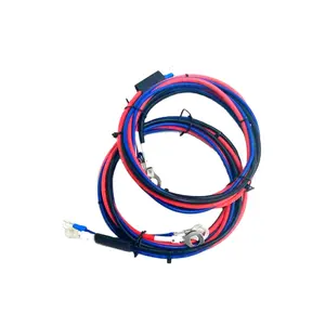 Customized OEM ODM custom cables assembly power charge cables for golf cart wiring harness