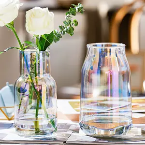 सरल और पारदर्शी ग्लास अलंकार हाइड्रोपोनिक वेस फूल व्यवस्था, लिविंग रूम सजावट, फूल के बर्तन