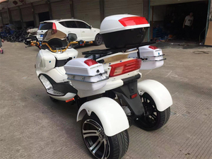 大人のための本物の自転車リカンベント3輪人力車三輪車トライクオートバイ