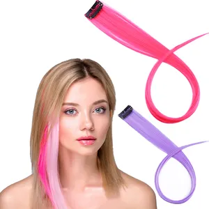 Factory Price Crochet Hair Colorful In Hair Extension Synthetic Straight Hair Clip for Party Rainbow Cheapest Party Highlights