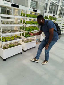 Nouvelle ferme hydroponique verticale intérieure intelligente-Système intelligent de culture de fruits et légumes - Product Image 5