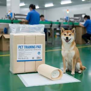 Hot Selling Eco-Friendly Biodegradable Disposable Dog Puppy Pee Training <b>Pads</b> Super Absorbency IP68 <b>Waterproof</b> Bamboo Cloth - Product Image 1