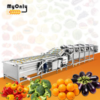 Machine de lavage et de séchage des légumes à feuilles, de laitues, de tomates, de myrtilles et des fruits à feuilles MY