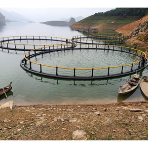 Jaulas Redondas de HDPE y Plástico para Cría de Peces de Fabricante Vietnamita, 15-20M de Diámetro, Equipo para Acuicultura, Trampa para Peces MAVINEX - Product Image 4