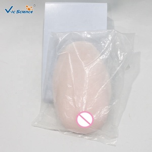 Modelo de Silicona Médica para Entrenamiento de <span class=keywords><strong>Lactancia</strong></span> <span class=keywords><strong>y</strong></span> Forma de Senos Durante la <span class=keywords><strong>Lactancia</strong></span> - Product Image 5