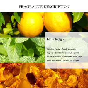 UNIQUE AROMA Mr. B Huile de Parfum Indigo en Gros, Huile Parfumée <span class=keywords><strong>au</strong></span> <span class=keywords><strong>Romarin</strong></span> Longue Durée, Huiles Aromatiques Boisées de Marque de Créateur - Product Image 2
