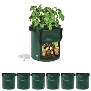 Pots de culture PE de <span class=keywords><strong>10</strong></span> gallons Sac de culture vert pour pommes de terre de jardin Légumes Carotte Oignon Tomate Planteur Sac - Product Image 1
