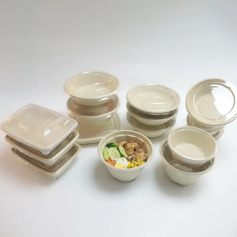 No Added Pfas Eco Friendly Biodegradable Takeaway Sugarcane Rectangle Salad Bowl Bagasse Pulp Food Containers