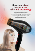Sèche-cheveux AC professionnel à grande vitesse Coup doux et inoffensif pour la maison et l'hôtel Nouveau style électrique en plastique pour l'extérieur