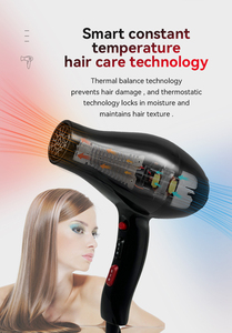 Profession eller Hochgeschwindigkeits-AC-Haartrockner Sanfter harmloser Schlag für Zuhause und Hotel Verwenden Sie New Styling Electric Plastic Outdoor Friendly - Product Image 3