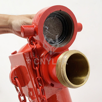 BS750 Hidrante contra incendios subterráneo flexible de doble dirección montado en columna, equipado con brida DN100.