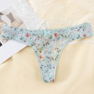 Braguitas de Encaje con Estampado Estilo Europeo para Mujer, Cintura Baja, Ropa Interior Ligera - Product Image 4