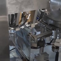 Machine d'emballage automatique de sacs préformés, machine de remplissage et de scellage multifonctionnelle pour les graines de tournesol, les noix, les céréales