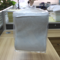 Texpack petit sac d'emballage pour drap de lit rideau tissu oreiller clair sac Transparent anti-poussière anti-saleté sac à fermeture éclair
