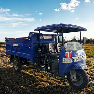 <span class=keywords><strong>Petit</strong></span> Véhicule Tricycle Benne à Carburant Économique pour Ferme Importée, Exploitation Minière, Chantier Hydraulique et Transport en Montagne - Product Image 1