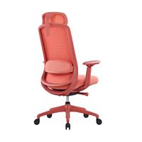 Chaise de bureau ergonomique en maille respirante au design moderne avec dossier réglable pour ordinateur, idéale pour l'école et l'hôtel