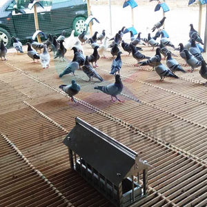 <span class=keywords><strong>GSF</strong></span> G1237-1 Tapis de sol en filet de bambou naturel écologique dédié à l'étaler sous le tapis - Product Image 4