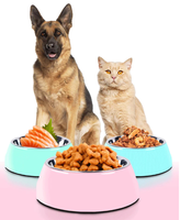 Gamelle stable pour chiot avec support patte – Bols et mangeoires pour chiens en gros – Fabricant certifié et audité