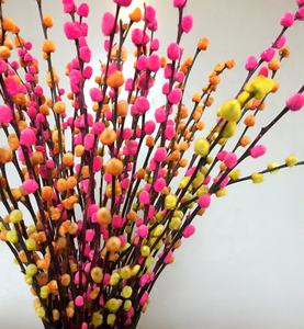 Pussy willow - Product Image 4