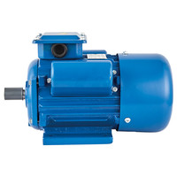 Moteur électrique monophasé IE1