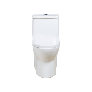 Inodoro de Una Pieza de Cerámica Blanca con Sifón Alargado de 300 mm, Diseño Nuevo 2026, Venta Caliente, Artículos Sanitarios para Baño FLL-608 - Product Image 2