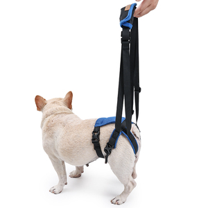 Arnês para Cães Sem Puxar Ajustável e Confortável em Poliéster com Malha Respirável para Suporte às Patas Traseiras - Product Image 1