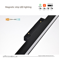 Lumière linéaire LED encastrée en aluminium magnétique moderne de 20 mm, à intensité variable, pour le salon, le plafond, l'éclairage d'ambiance