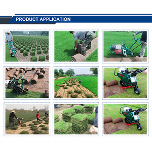 Coupe-herbe agricole, coupe-gazon, tondeuse à gazon avec moteur et boîte <span class=keywords><strong>de</strong></span> vitesses, puissance 9HP, utilisation facile, <span class=keywords><strong>prix</strong></span> abordable - Product Image 6