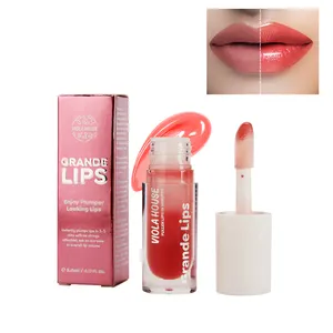 Plumping Lip Gloss Set penambah nutrisi bibir Label pribadi Logo kustom pemadat bibir Gloss