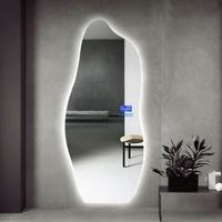 Miroir décoratif LED personnalisé à forme ondulée asymétrique irrégulière avec lentilles grossissantes, cadre en alliage d'aluminium pour salon intelligent