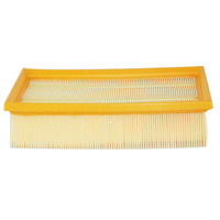 CA-407U 1109190AW02 C201014-0102 Filtre à air pour voiture pour Changan CS55 Eado Raeton Oshan COS1 Haima S5 Chery