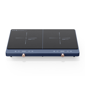Individual Amazing Induction Cooker 2200W Electric