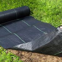 Tapis anti-mauvaises herbes en PP tissé pour pépinière, rouleau de tissu en PP vert, couverture de sol avec service de découpe, tailles personnalisées disponibles