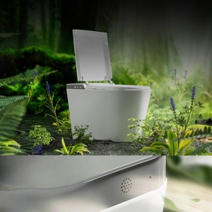 <span class=keywords><strong>WC</strong></span> intelligents, accessoires noirs, cuvette Toto, siège de toilette, commode dorée, <span class=keywords><strong>Geberit</strong></span> - Product Image 4