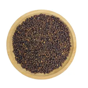 Direct Factory Price 2024 Most Popular Good Quality Piper Nigrum China Single Spice Black Pepper