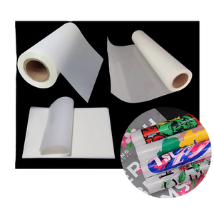 DTF ROLL FILM for Direct to Film Print Future Print 2026