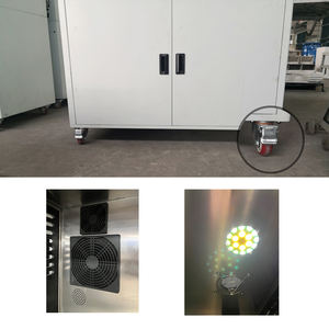 Gabbia Professionale per Ossigenoterapia Veterinaria con Controllo della Temperatura e Design con Partizioni Rimovibili in Acciaio Inossidabile - Product Image 3