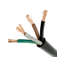 Kabel RVV Fleksibel VERIBEST PVC Konduktor Tembaga 2 Inti 1.5mm 2.5mm 300V/500V Bersertifikasi CCC CE untuk Penggunaan Bawah Tanah
