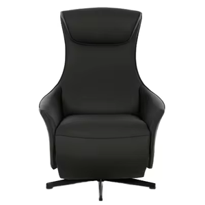 YJY-218 <strong>Zero</strong> <strong>Gravity</strong> <strong>Recliner</strong> Comfortable Modern Design with Leather and PU Material One Motor Metal Frame - Product Image 2