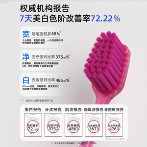Cepillo de Dientes Sweztrip con Cerdas Pedex de 0.10mm, Suave, Manual, para Adultos, Marca Japonesa - Product Image 2
